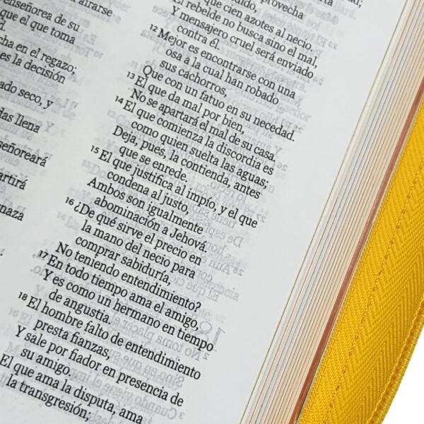 Biblia Mi Gran Viaje – RVR60 con cierre Naranja - Image 4