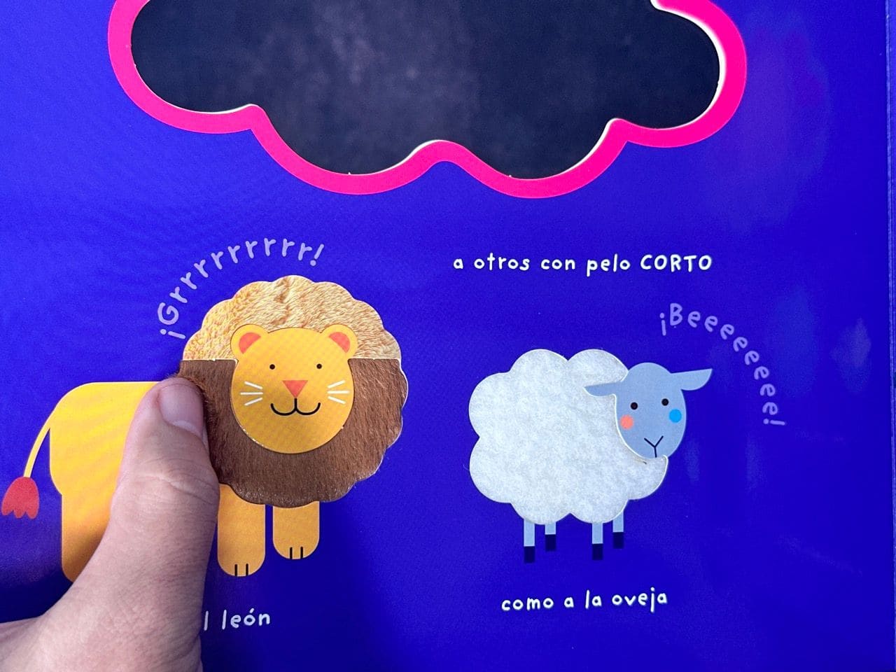 Toca y Juega: ¡Cuántos animales! – El Arca de Noé - Image 2